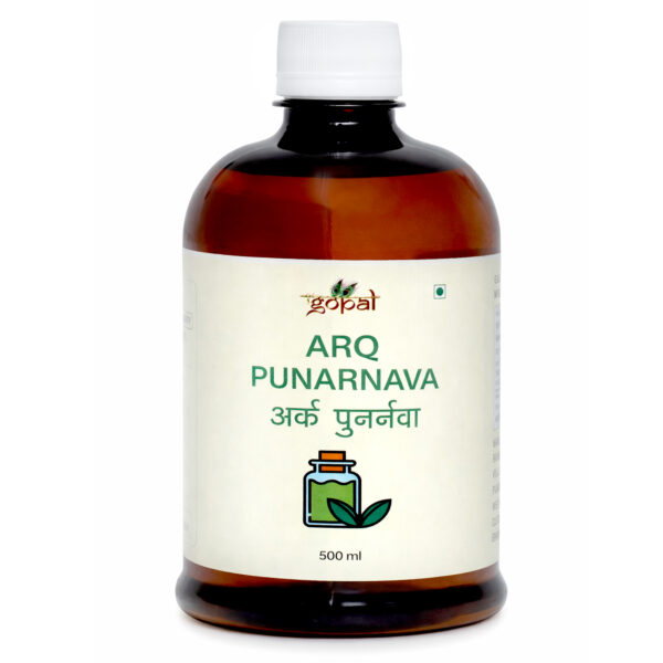 ARQ PUNARNVA 500ml