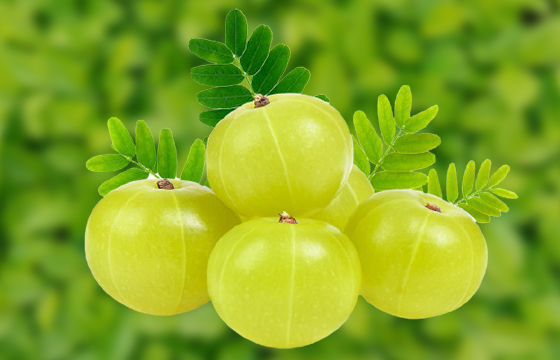 Benefit of Amla and Different Uses